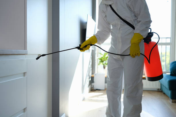 Best Home Mold Removal  in Lochsloy, WA